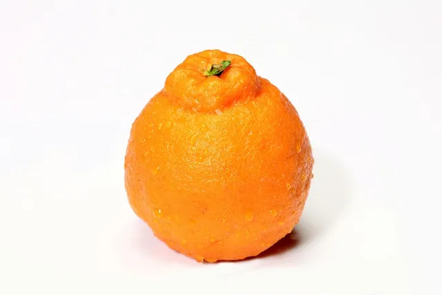 Ziggi Jackson CBD E-Liquid Orange Butt - Mary's Hanf