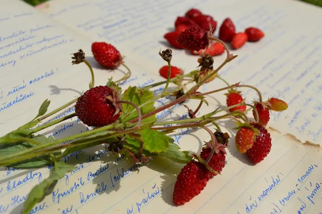 Juicy Jay´s Strawberry King Size - Mary's Hanf