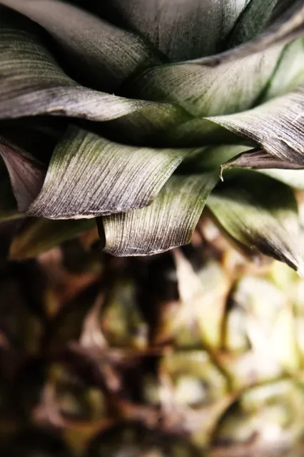 CBD E-Liquid Pineapple Express - Mary's Hanf