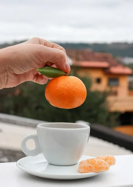 Hanftee Früchtemischung