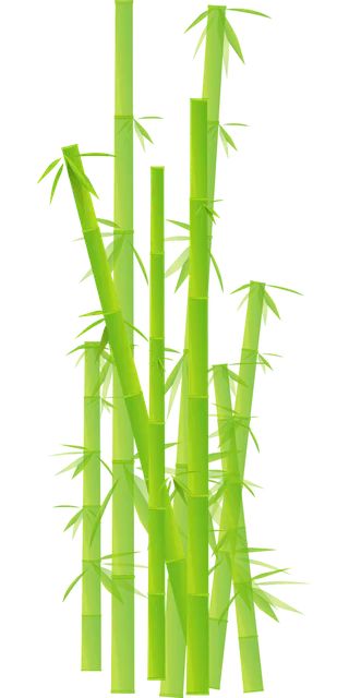 RAW Drehunterlage Bambus "Backflip Magnetic Bamboo" - Mary's Hanf