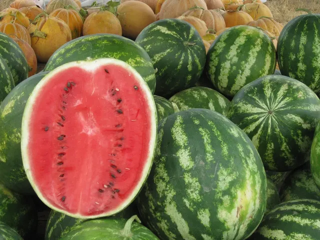 Juicy Jay´s Watermelon King Size