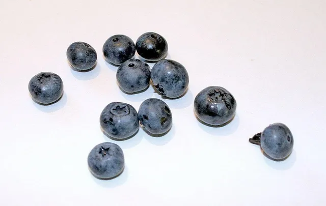 Juicy Jay´s Blueberry King Size - Mary's Hanf