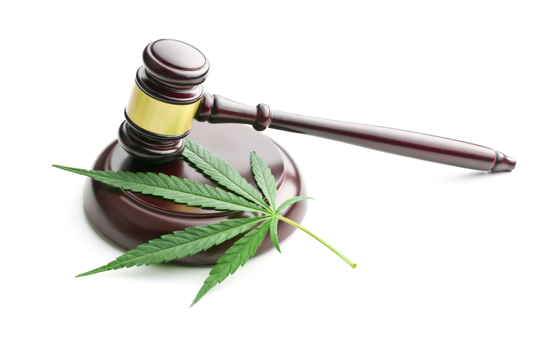 Mary's News 04/21 - Neues Urteil zu CBD