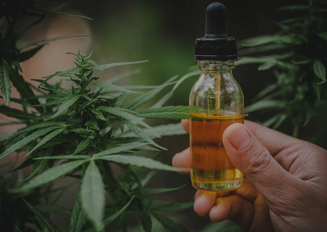 Was ist CBD (Cannabidiol)?