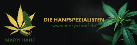 Hanföl vor Ort kaufen