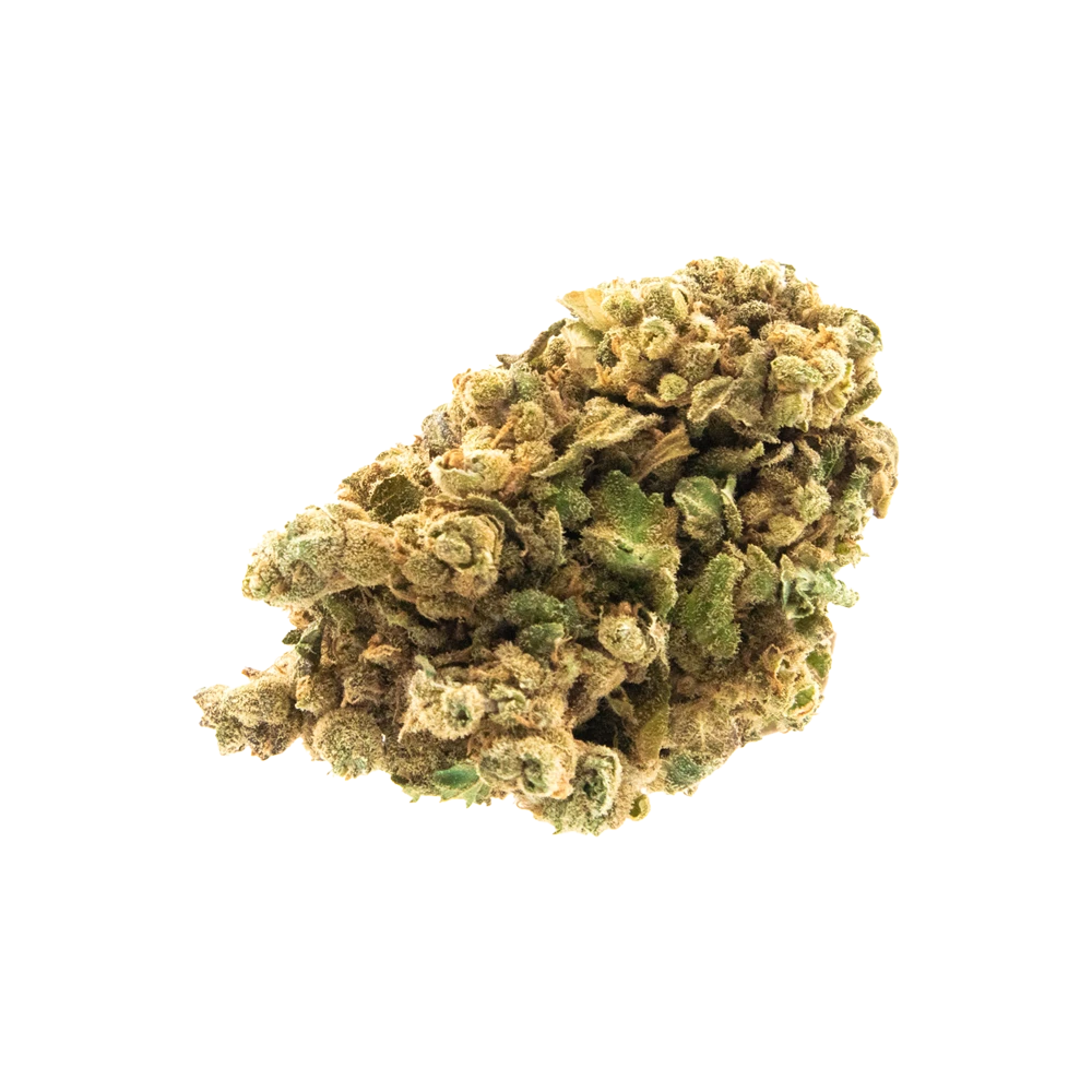 Gelato CBD-Blüten